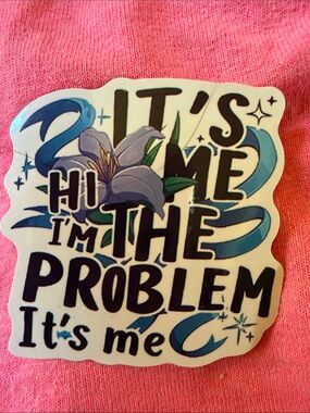 Taylor Swift Anti-Hero Lyrics 'It's Me, Hi I'm The Problem' Floral Vinyl Sticker